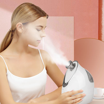 VAPORIZADOR FACIAL